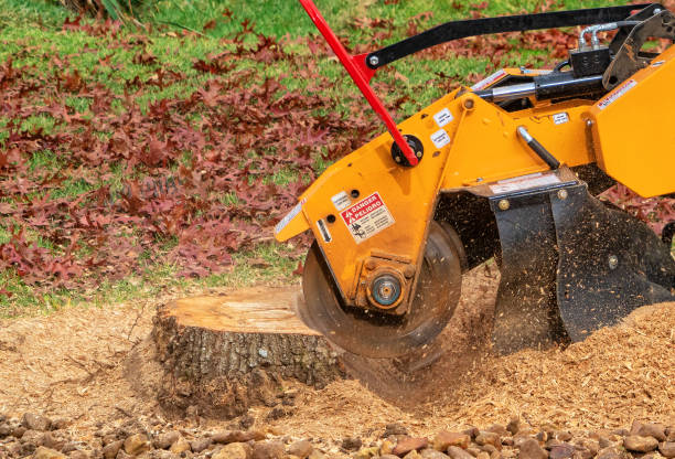 Branch and Stump Grinding